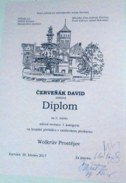 Diplom_1
